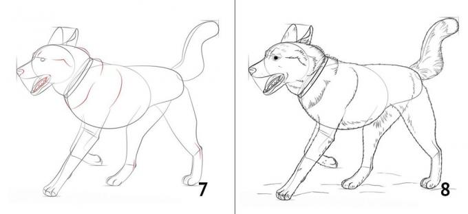 Ako nakresliť psa