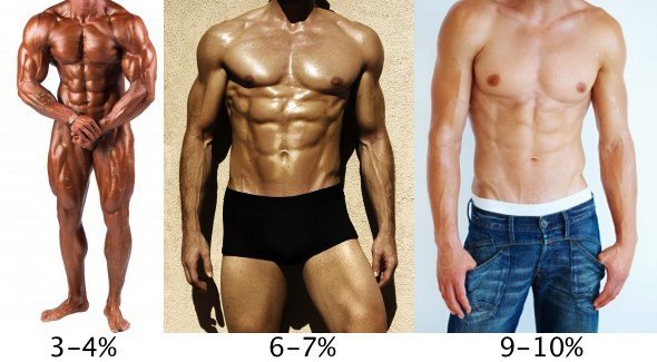 percento telesného tuku pre mužov