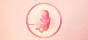 17. týždeň tehotenstva: čo sa stane s dieťaťom a mamou - Lifehacker