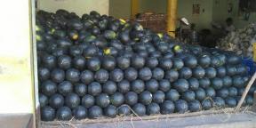 5 faktov o vodových melónoch - ovocí, bez ktorých si leto nevieme predstaviť