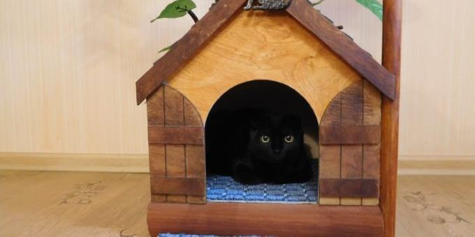 Ako vytvoriť dom pre mačku zo stromu s rukami
