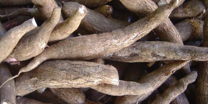 Škodlivé produkty: maniok