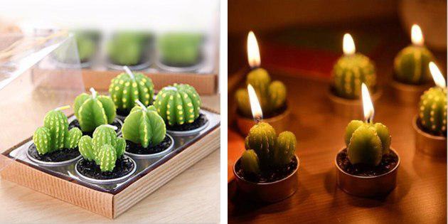 Sviečky, kaktusy