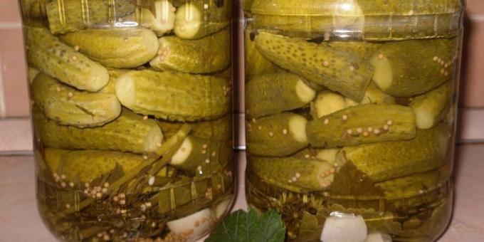 Pickles s horčicou a chrenom