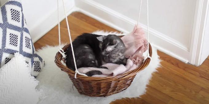 Ako sa robí z postele hamaková posteľ pre mačku