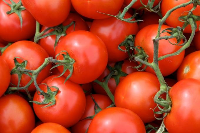 užitočné produkty: paradajky