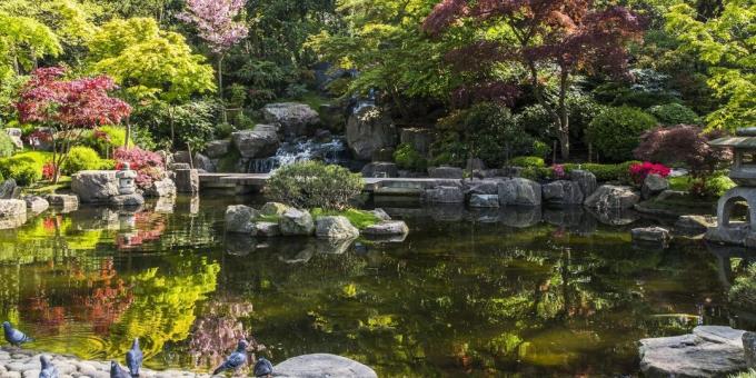 Čo vidieť v Londýne: japonskej Kyoto Garden v Holland Park