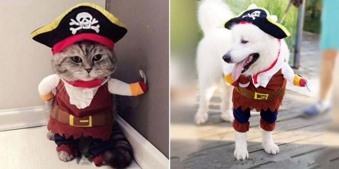 Vianočné kostýmy pre psov a mačky: Fluffy Pirate