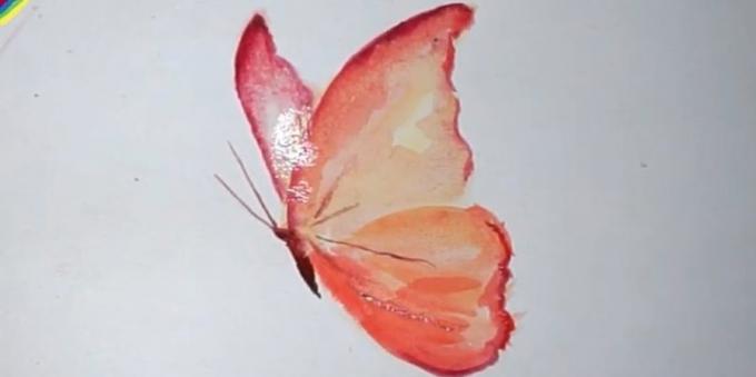 Ako kresliť realistické farby motýľ