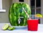 Ako vyrobiť sud melónu s dávkovačom a užívať si čerstvý džús