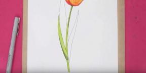 15 spôsobov, ako nakresliť krásne tulipány