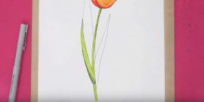 15 spôsobov, ako nakresliť krásne tulipány