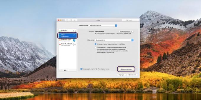 Nastavenie DNS-server na MacOS