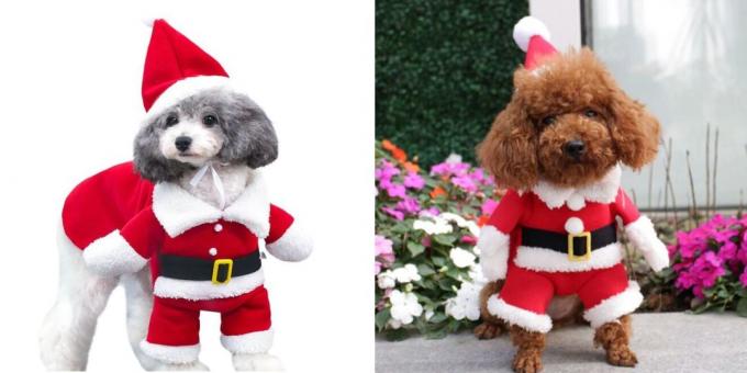 Vianočné kostýmy pre psov woofing Santa
