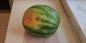 Ako si vybrať sladké a zrelé melón
