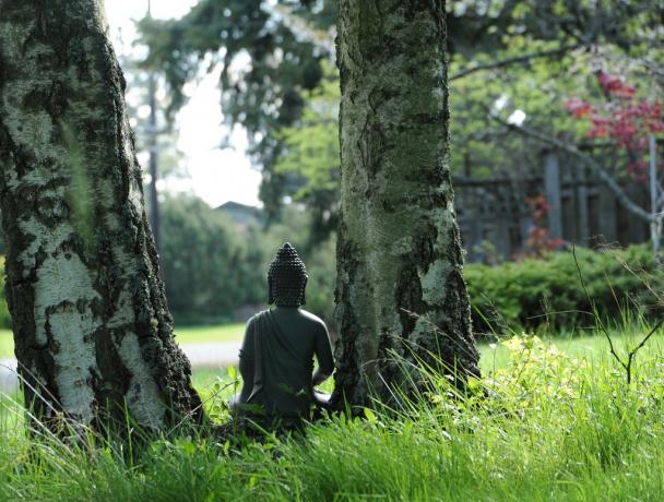 Úzkostná porucha môže byť podmanil prostredníctvom meditácie