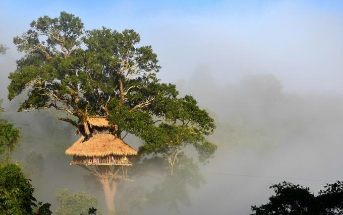 Nature Reserve Bokeo, Laos