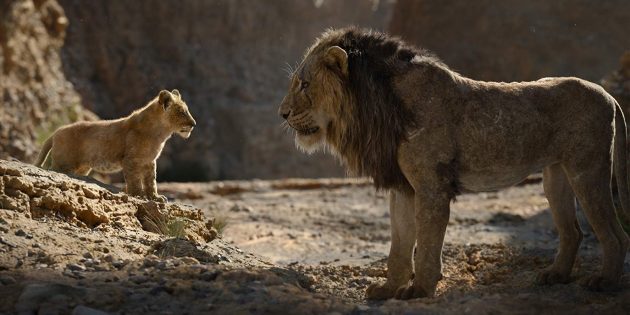 "Leví kráľ": Simba a Scar