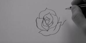 Ako nakresliť ruže 20 rôznych spôsobov,