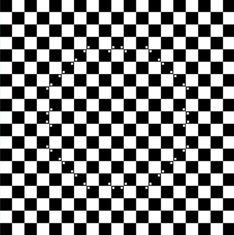 Optické ilúzie. šachovnica