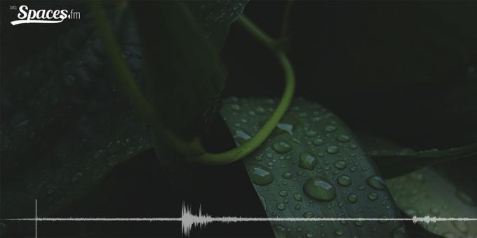 Binaurální zvuk dažďa na sústredenie