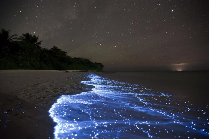 Bioluminiscenční Beach - Vaadhoo, Maldivy najlepších pláží