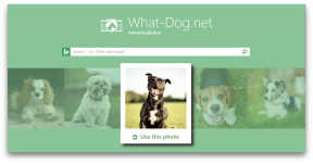 Fetch - inovácia od spoločnosti Microsoft, ktorý bude vyzdvihnúť psa na fotke