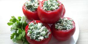 12 jednoduchých receptov na plnené paradajky