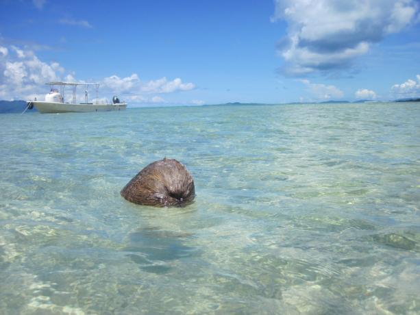 rurinoshima / Flickr.com