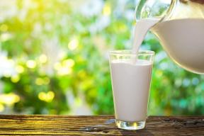 Kde robí mlieko: pravda a mýty o jeho výrobu