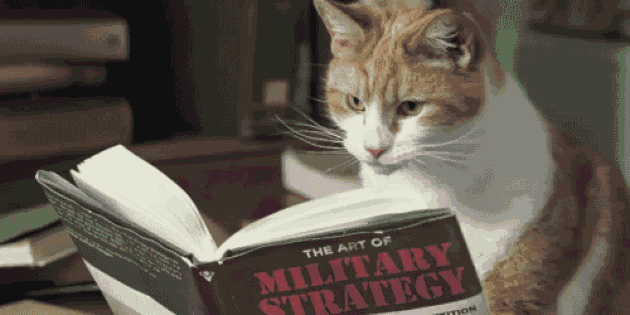 múdra mačka čítanie