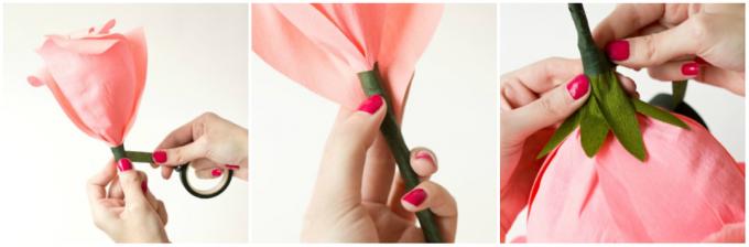 Ako vyrobiť papierové ruže: klírens