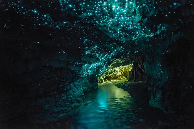 Jaskyňa s svetluška Waitomo Glowworm 