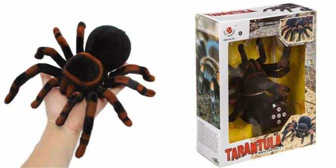 Plazivá tarantula