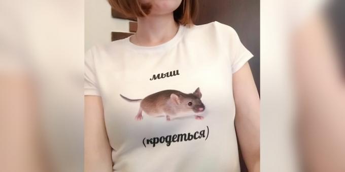 Mémy 2018: myš (krodotsya)