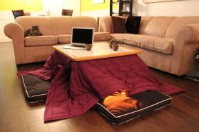 Ohrieva v japončine s teplou tabuľky kotatsu