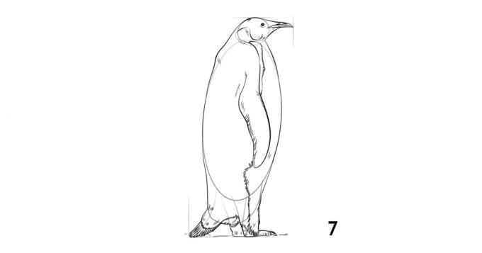 Ako k tomu tučniaka