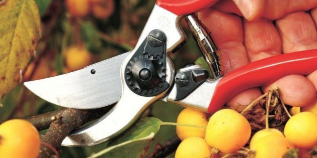 Záhradné nožnice pre rezanie slamy