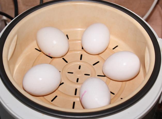 Ako variť vajcia v dvojlôžkovej kotla alebo multivarki