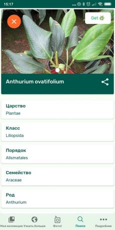 Identifikovať druhy izbových rastlín s využitím PlantSnap