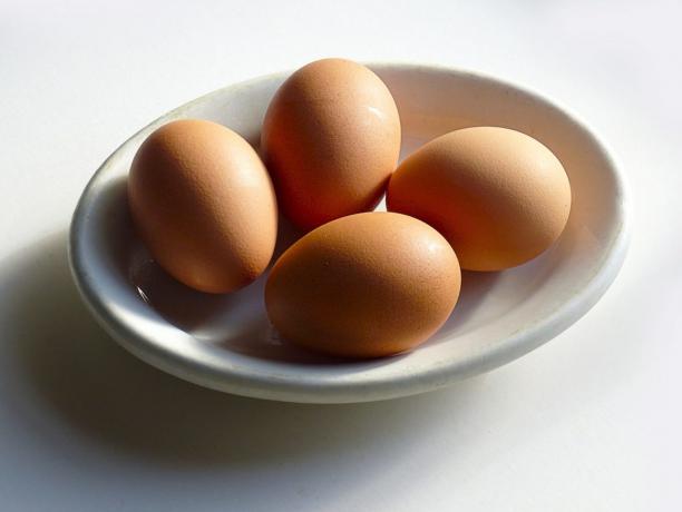 Zdroje bielkovín: vajcia