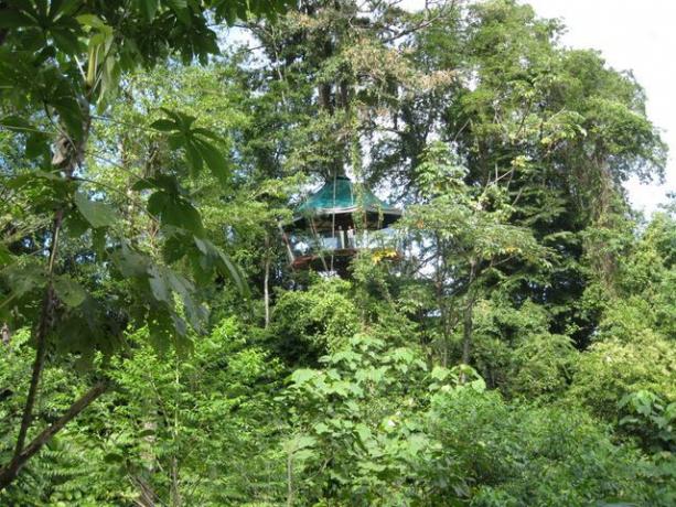 Dom na strome, kde môžete navštíviť