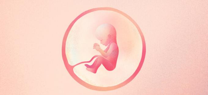 Ako vyzerá dieťa v 19. týždni tehotenstva?