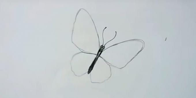 Krúžiť krídla a kresliť fúzy motýľ