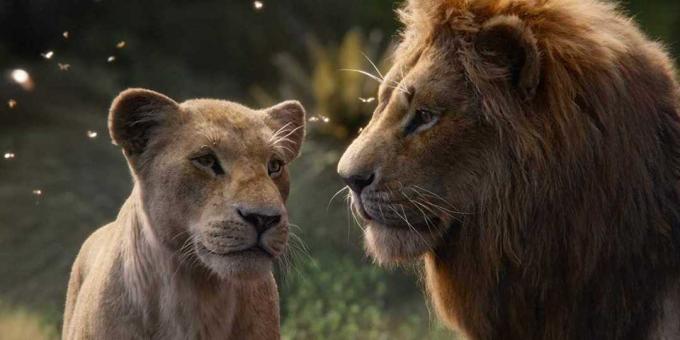 "Leví kráľ": Nala a Simba
