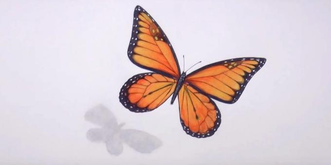 Zmazanie kresby ceruzkou a čiernu farbu štípnout butterfly pattern