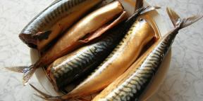 7 spôsobov, ako rýchlo a chutné náleve makrely doma