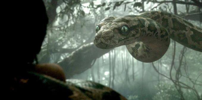 Záber z filmu o hadoch „Kniha džunglí“
