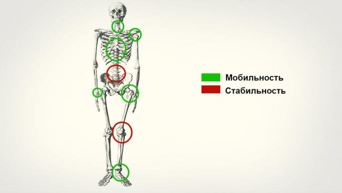 školiace mobilita kĺbov