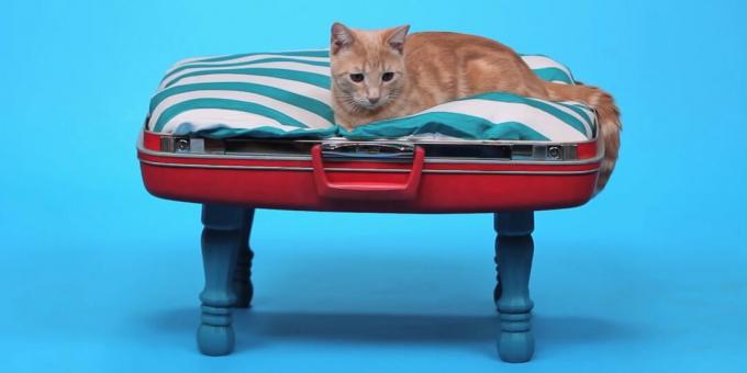 Ako si vyrobiť postieľku pre mačky z kufra